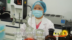  <strong>央视！紫燕食物以</strong>