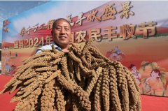 <b>旗号网：认为动力提拔国度粮食平安保障程度</b>